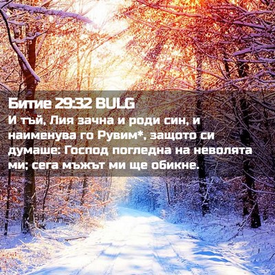 Picture 02 - Битие 29:32 BULG - И тъй, Лия зачна и роди син, - Bible Verse Picture