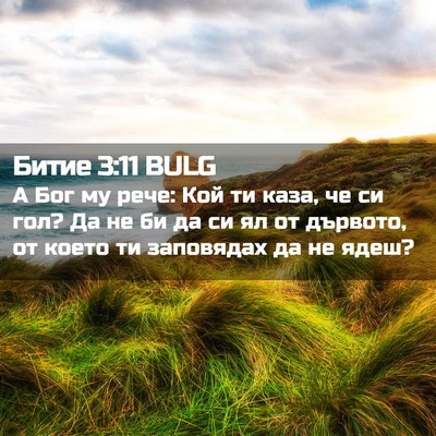 Picture 02 - Битие 3:11 BULG - А Бог му рече: Кой ти каза, - Bible Verse Picture