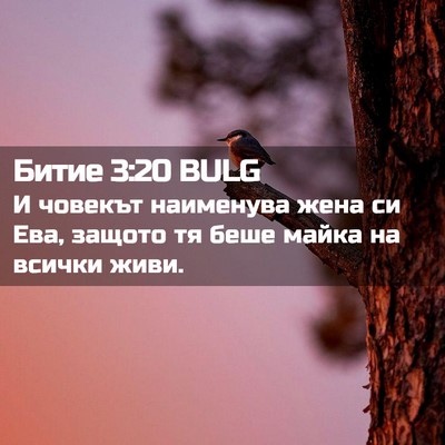 Picture 02 - Битие 3:20 BULG - И човекът наименува жена - Bible Verse Picture