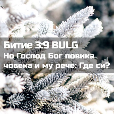 Picture 02 - Битие 3:9 BULG - Но Господ Бог повика - Bible Verse Picture