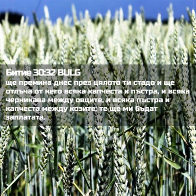 Picture 02 - Битие 30:32 BULG - ще премина днес през - Bible Verse Picture