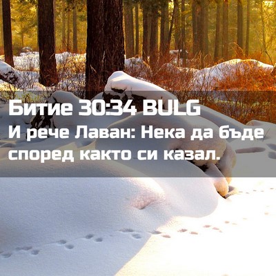 Picture 02 - Битие 30:34 BULG - И рече Лаван: Нека да бъде - Bible Verse Picture