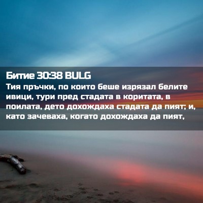 Picture 02 - Битие 30:38 BULG - Тия пръчки, по които беше - Bible Verse Picture