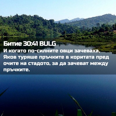Picture 02 - Битие 30:41 BULG - И когато по-силните овци - Bible Verse Picture