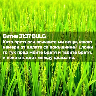 Picture 02 - Битие 31:37 BULG - Като претърси всичките ми - Bible Verse Picture
