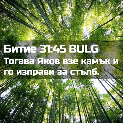 Picture 02 - Битие 31:45 BULG - Тогава Яков взе камък и го - Bible Verse Picture