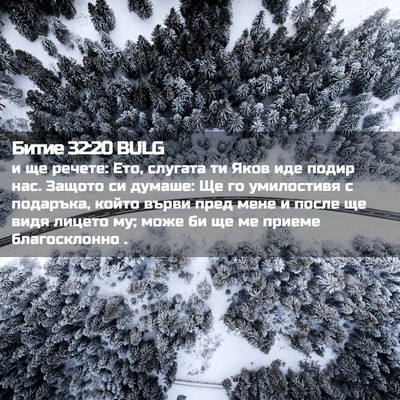 Picture 02 - Битие 32:20 BULG - и ще речете: Ето, слугата ти - Bible Verse Picture