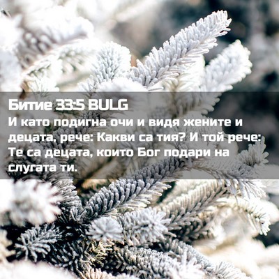 Picture 02 - Битие 33:5 BULG - И като подигна очи и видя - Bible Verse Picture