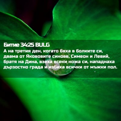 Picture 02 - Битие 34:25 BULG - А на третия ден, когато - Bible Verse Picture