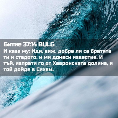 Picture 02 - Битие 37:14 BULG - И каза му: Иди, виж, добре ли - Bible Verse Picture
