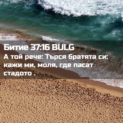 Picture 02 - Битие 37:16 BULG - А той рече: Търся братята - Bible Verse Picture
