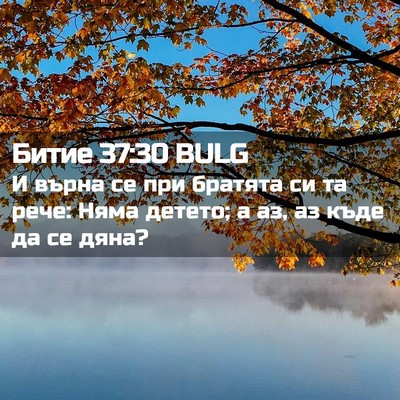 Picture 02 - Битие 37:30 BULG - И върна се при братята си - Bible Verse Picture