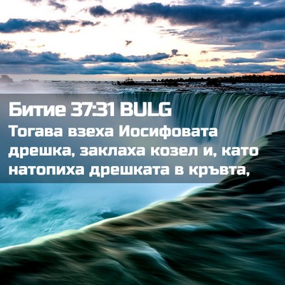 Picture 02 - Битие 37:31 BULG - Тогава взеха Иосифовата - Bible Verse Picture