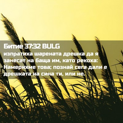 Picture 02 - Битие 37:32 BULG - изпратиха шарената дрешка - Bible Verse Picture