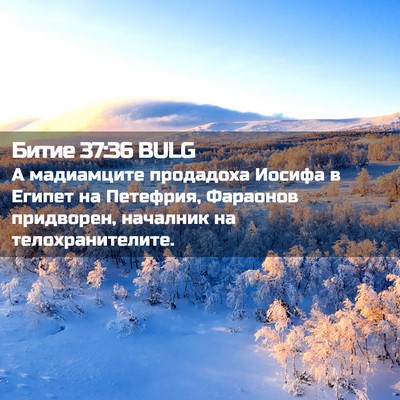Picture 02 - Битие 37:36 BULG - А мадиамците продадоха - Bible Verse Picture
