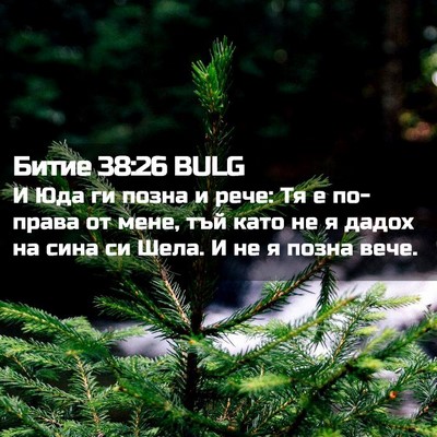 Picture 02 - Битие 38:26 BULG - И Юда ги позна и рече: Тя е - Bible Verse Picture