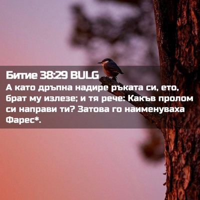 Picture 02 - Битие 38:29 BULG - А като дръпна надире - Bible Verse Picture