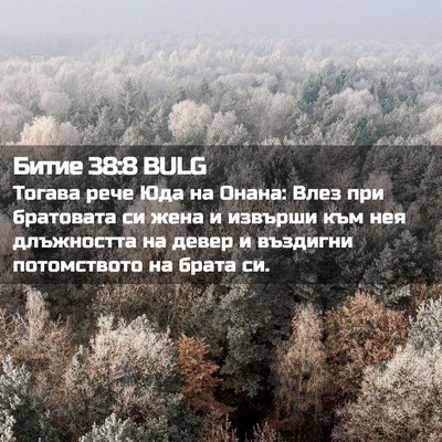 Picture 02 - Битие 38:8 BULG - Тогава рече Юда на Онана: - Bible Verse Picture