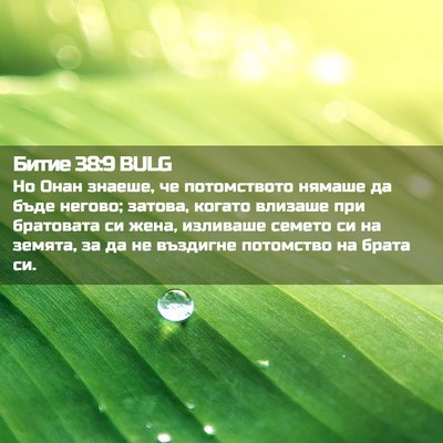 Picture 02 - Битие 38:9 BULG - Но Онан знаеше, че - Bible Verse Picture