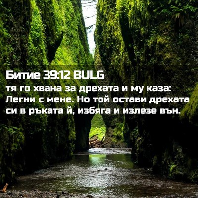 Picture 02 - Битие 39:12 BULG - тя го хвана за дрехата и му - Bible Verse Picture