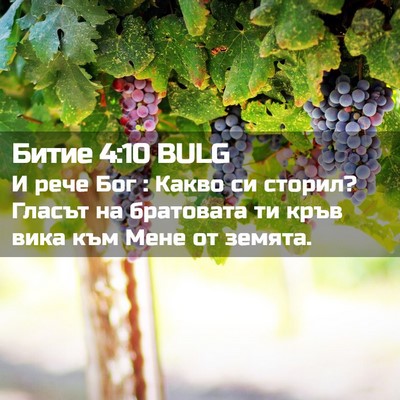 Picture 02 - Битие 4:10 BULG - И рече Бог : Какво си - Bible Verse Picture