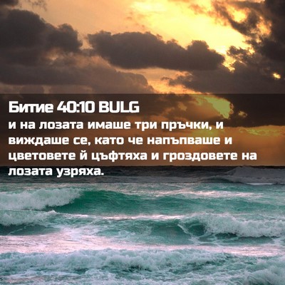 Picture 02 - Битие 40:10 BULG - и на лозата имаше три - Bible Verse Picture
