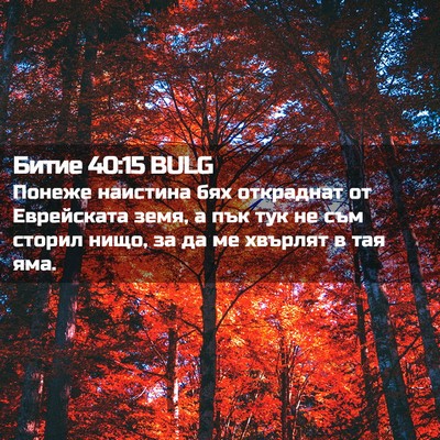 Picture 02 - Битие 40:15 BULG - Понеже наистина бях - Bible Verse Picture