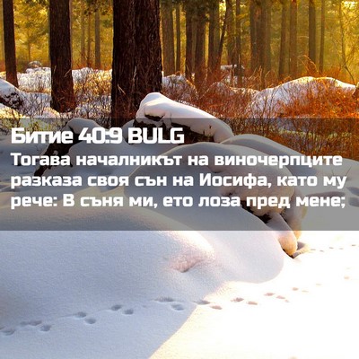Picture 02 - Битие 40:9 BULG - Тогава началникът на - Bible Verse Picture