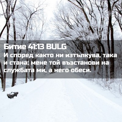 Picture 02 - Битие 41:13 BULG - И според както ни - Bible Verse Picture