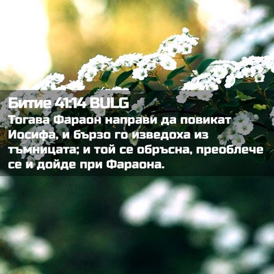 Picture 02 - Битие 41:14 BULG - Тогава Фараон направи да - Bible Verse Picture