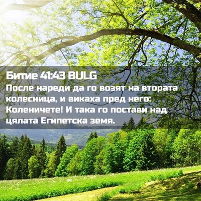 Picture 02 - Битие 41:43 BULG - После нареди да го возят на - Bible Verse Picture