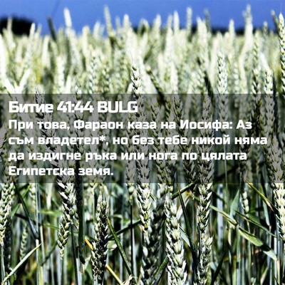 Picture 02 - Битие 41:44 BULG - При това, Фараон каза на - Bible Verse Picture