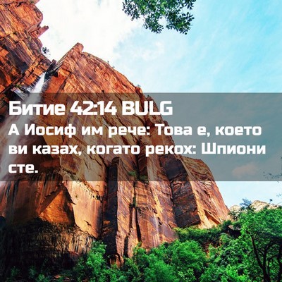Picture 02 - Битие 42:14 BULG - А Иосиф им рече: Това е, - Bible Verse Picture