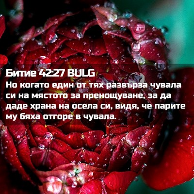 Picture 02 - Битие 42:27 BULG - Но когато един от тях - Bible Verse Picture