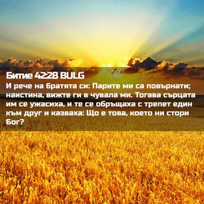 Picture 02 - Битие 42:28 BULG - И рече на братята си: - Bible Verse Picture