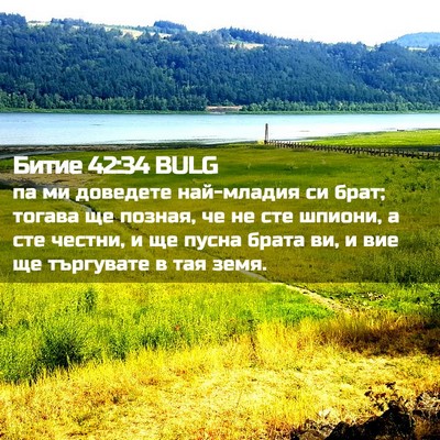 Picture 02 - Битие 42:34 BULG - па ми доведете най-младия - Bible Verse Picture