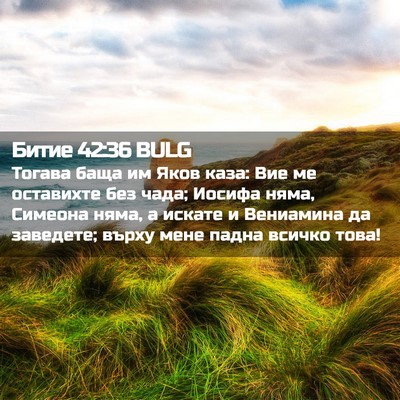 Picture 02 - Битие 42:36 BULG - Тогава баща им Яков каза: - Bible Verse Picture