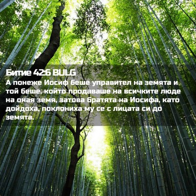 Picture 02 - Битие 42:6 BULG - А понеже Иосиф беше - Bible Verse Picture