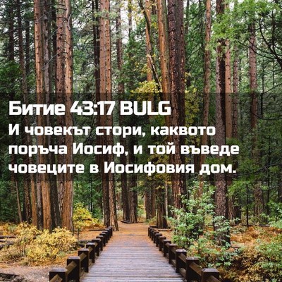 Picture 02 - Битие 43:17 BULG - И човекът стори, каквото - Bible Verse Picture