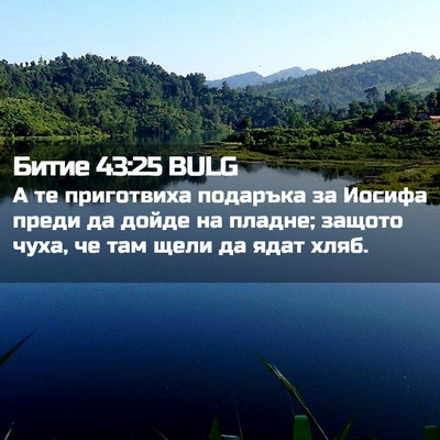 Picture 02 - Битие 43:25 BULG - А те приготвиха подаръка - Bible Verse Picture