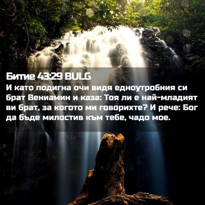 Picture 02 - Битие 43:29 BULG - И като подигна очи видя - Bible Verse Picture