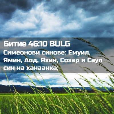 Picture 02 - Битие 46:10 BULG - Симеонови синове: Емуил, - Bible Verse Picture