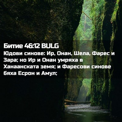 Picture 02 - Битие 46:12 BULG - Юдови синове: Ир, Онан, - Bible Verse Picture