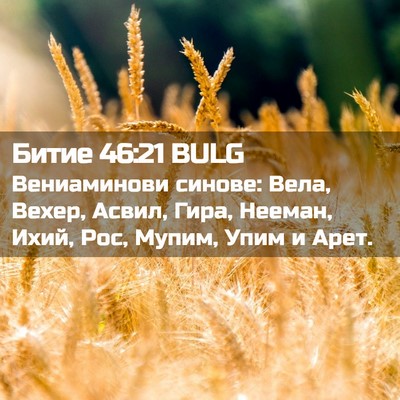Picture 02 - Битие 46:21 BULG - Вениаминови синове: Вела, - Bible Verse Picture
