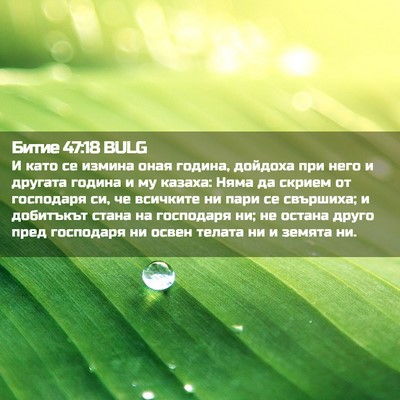 Picture 02 - Битие 47:18 BULG - И като се измина оная - Bible Verse Picture