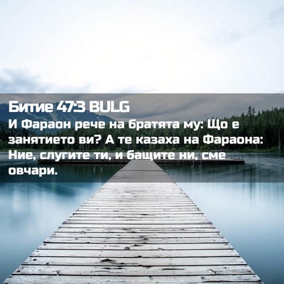 Picture 02 - Битие 47:3 BULG - И Фараон рече на братята - Bible Verse Picture