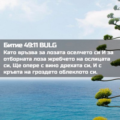Picture 02 - Битие 49:11 BULG - Като връзва за лозата - Bible Verse Picture
