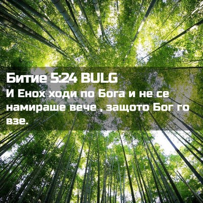 Picture 02 - Битие 5:24 BULG - И Енох ходи по Бога и не се - Bible Verse Picture