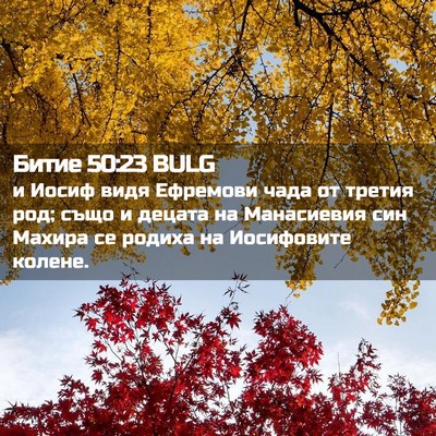 Picture 02 - Битие 50:23 BULG - и Иосиф видя Ефремови чада - Bible Verse Picture
