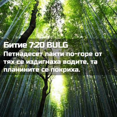 Picture 02 - Битие 7:20 BULG - Петнадесет лакти по-горе - Bible Verse Picture